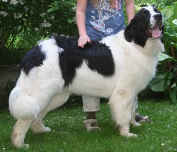 Ronja 9 Mon