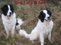 Bon Lucy102