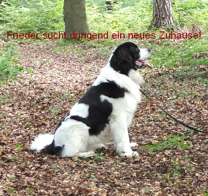 DSCF1571