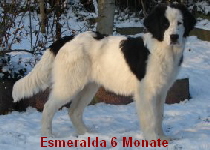 Esmeralda