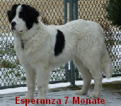 Esperanza 7Mon1