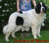 Felicitas 10Mon1