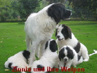 Welpen6